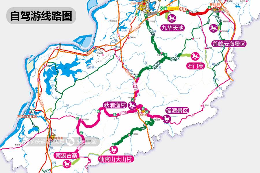 安徽仙寓山富硒野茶