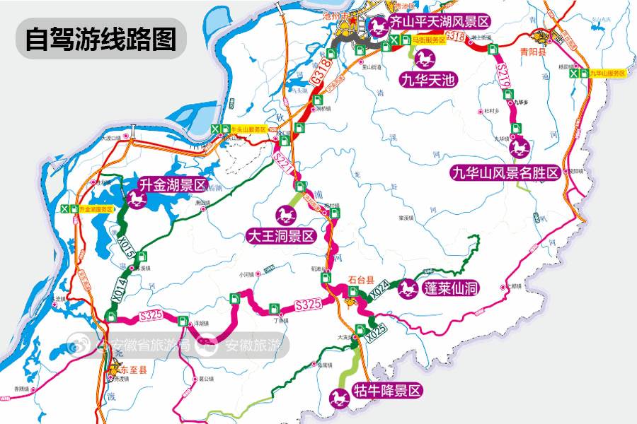 安徽仙寓山富硒野茶