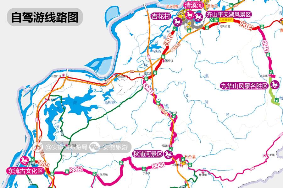 安徽仙寓山富硒野茶