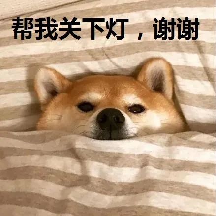 富硒茶啤酒生产厂家