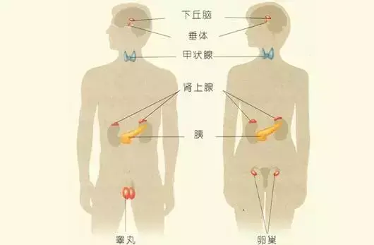 肾阴虚能喝富硒茶吗