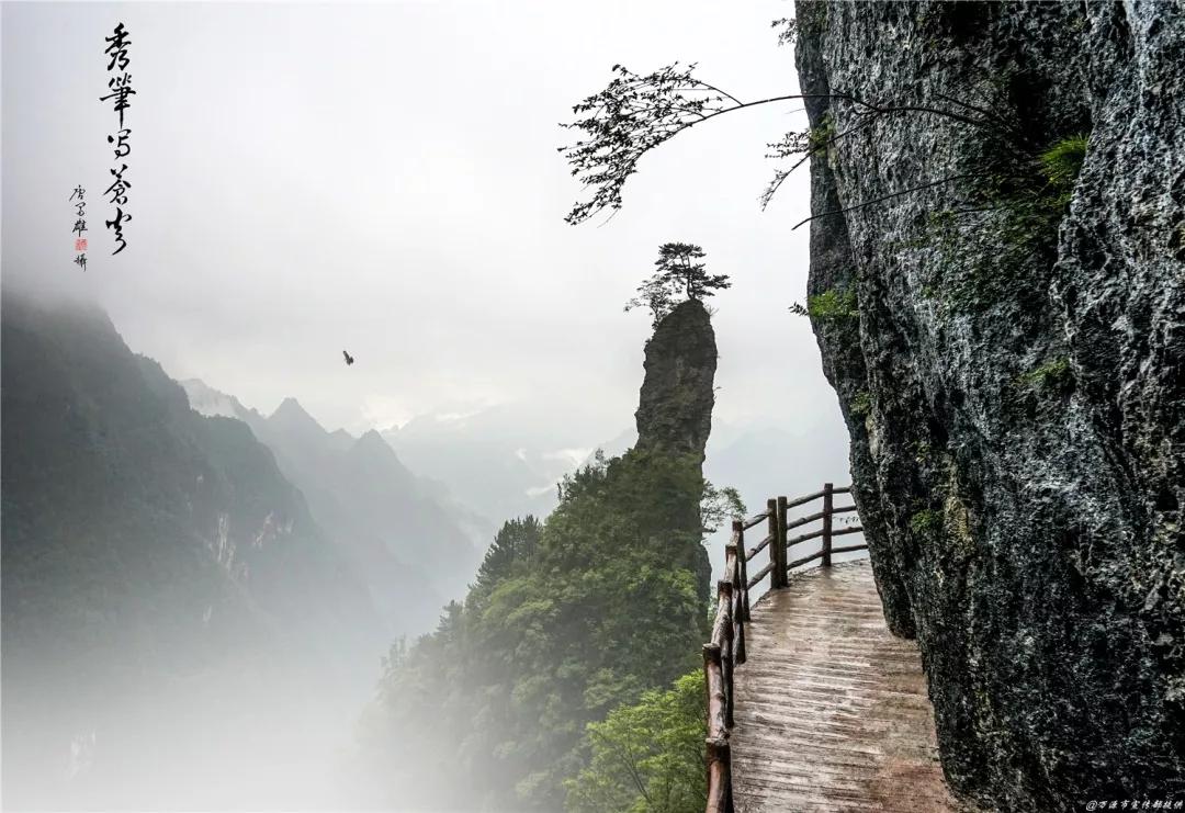 万源富硒茶地理标志