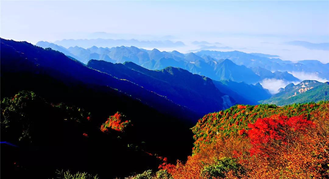 万源富硒茶地理标志