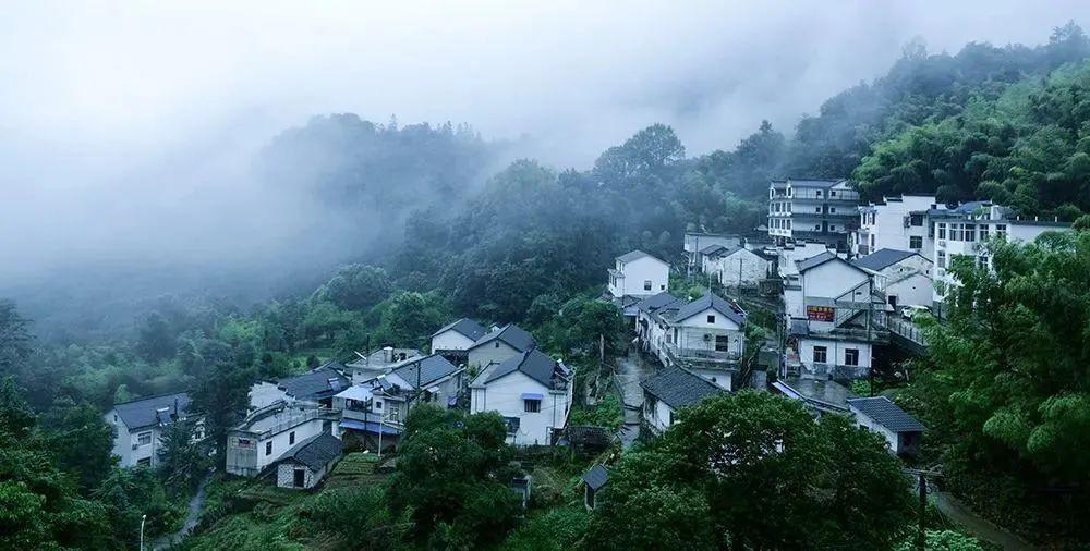 仙寓山富硒茶哪个好