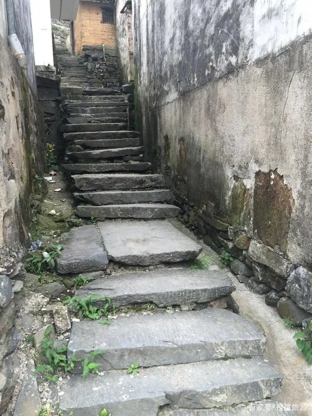中国三大富硒茶地区