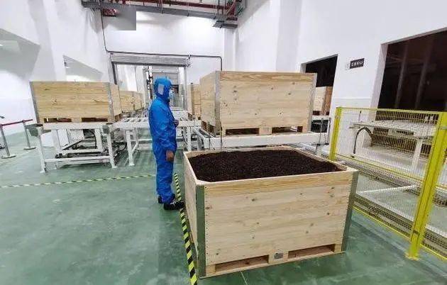 浙江省哪里产富硒茶