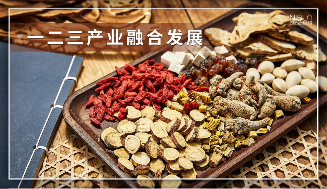 福建富硒八仙茶供应