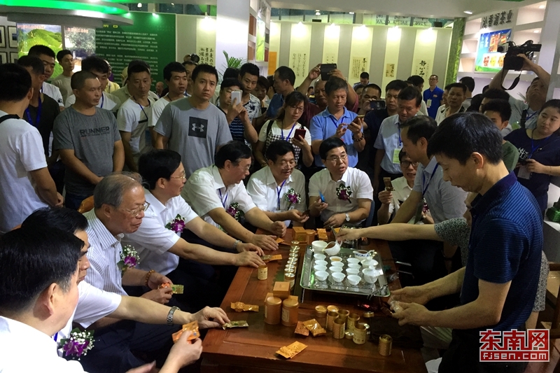 台湾富硒八仙茶批发