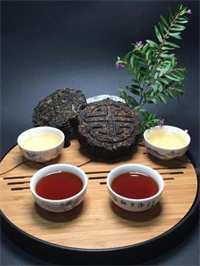 河北富硒普洱茶加工
