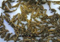 万源富硒茶种植面积