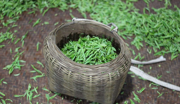 北京富硒八仙茶加工