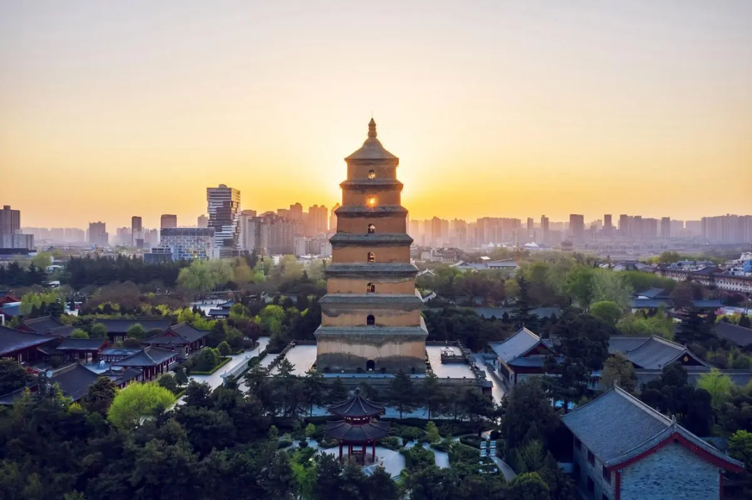 香港富硒八仙茶价格
