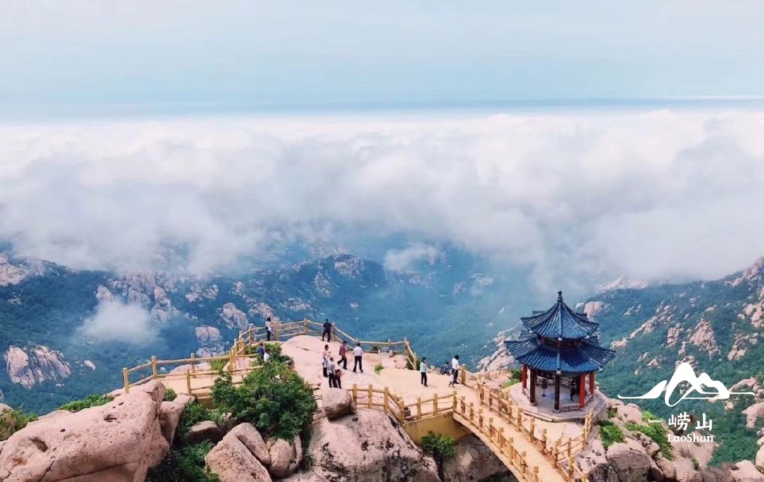 香港富硒八仙茶价格