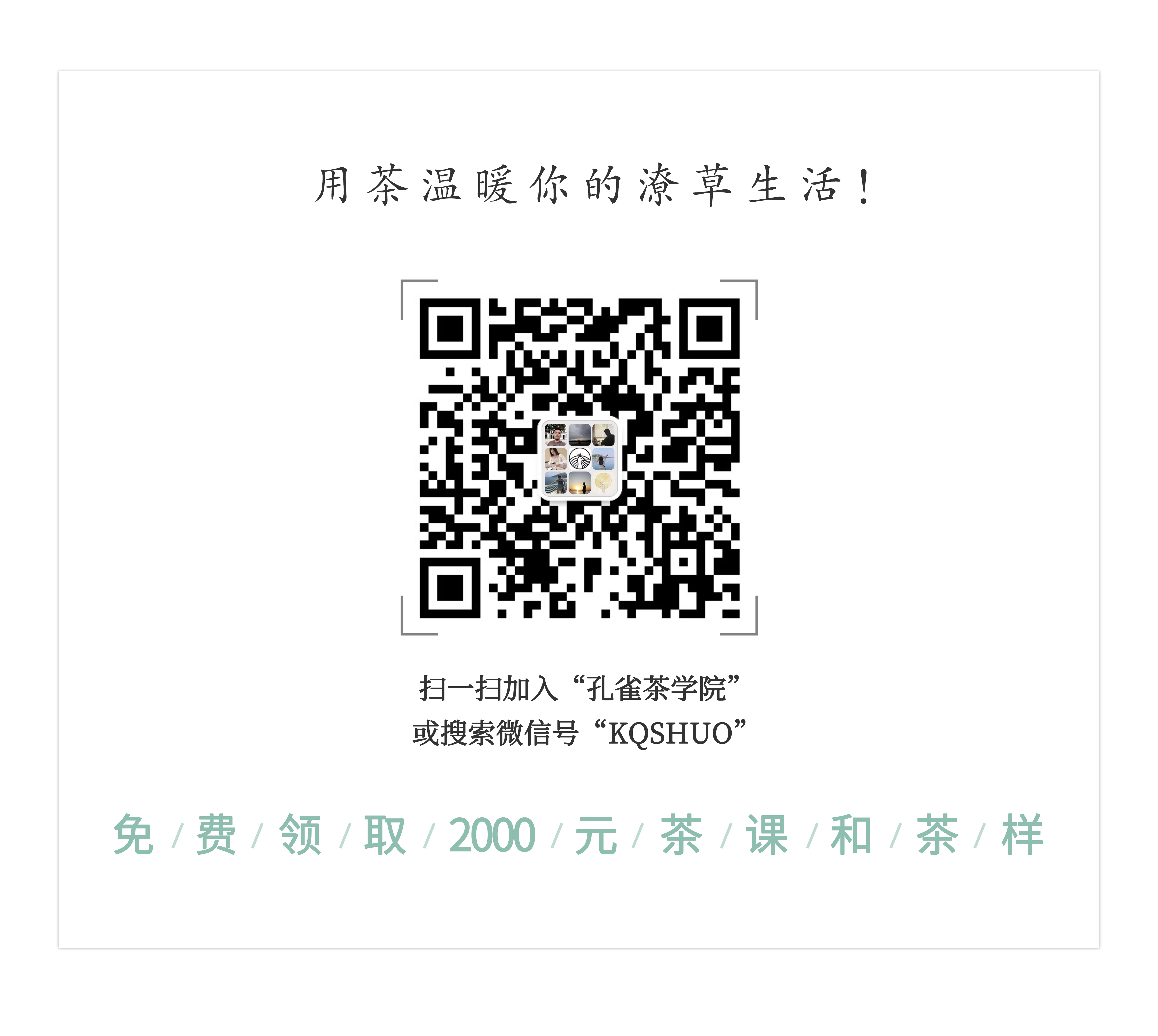 紫阳富硒老茶怎么样