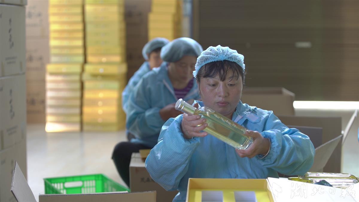 藤益生富硒来凤藤茶