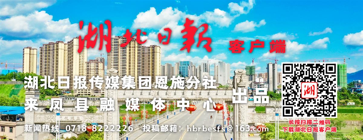 来凤.PNG