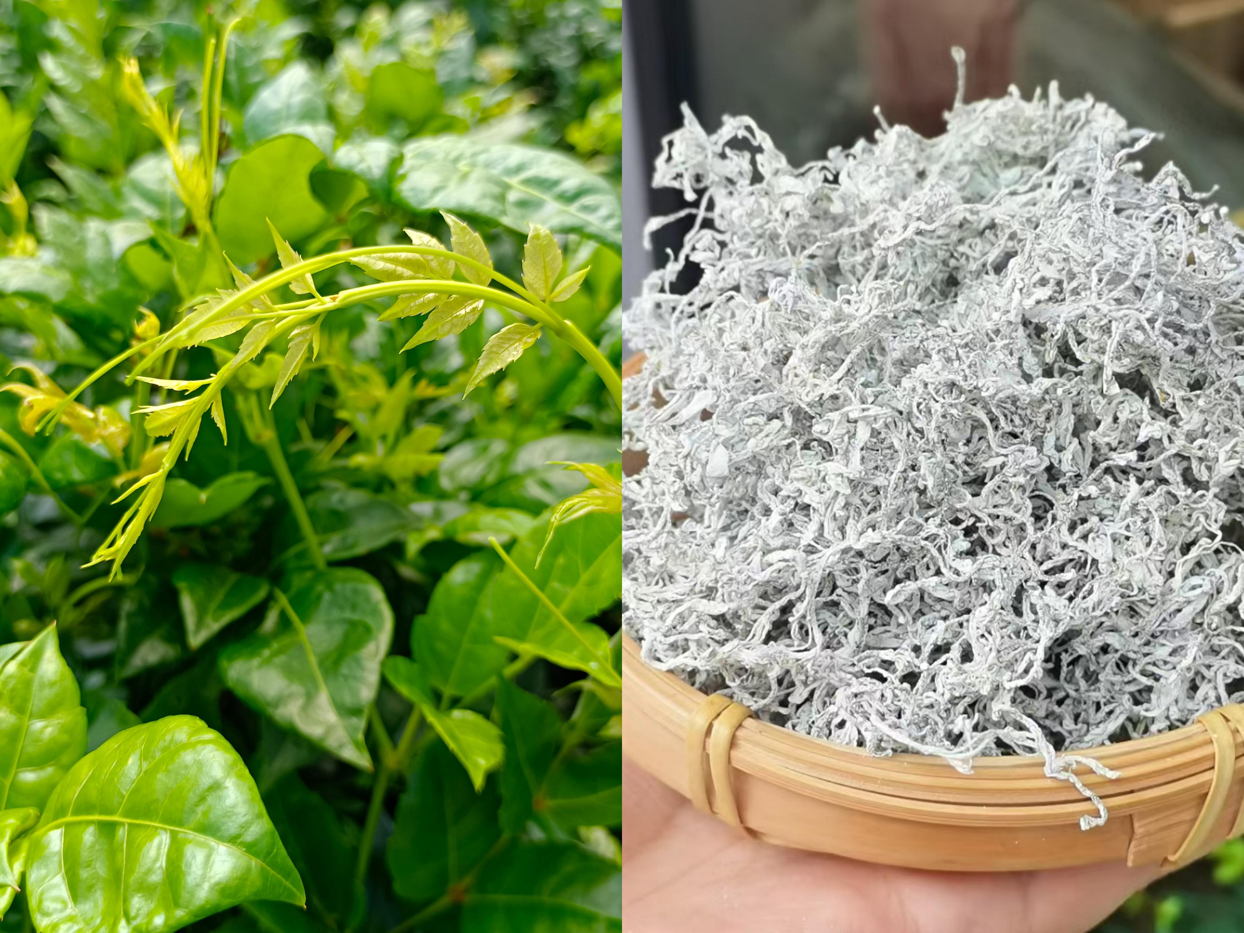 湖南张家界富硒莓茶