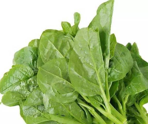 哪些蔬菜补钙
