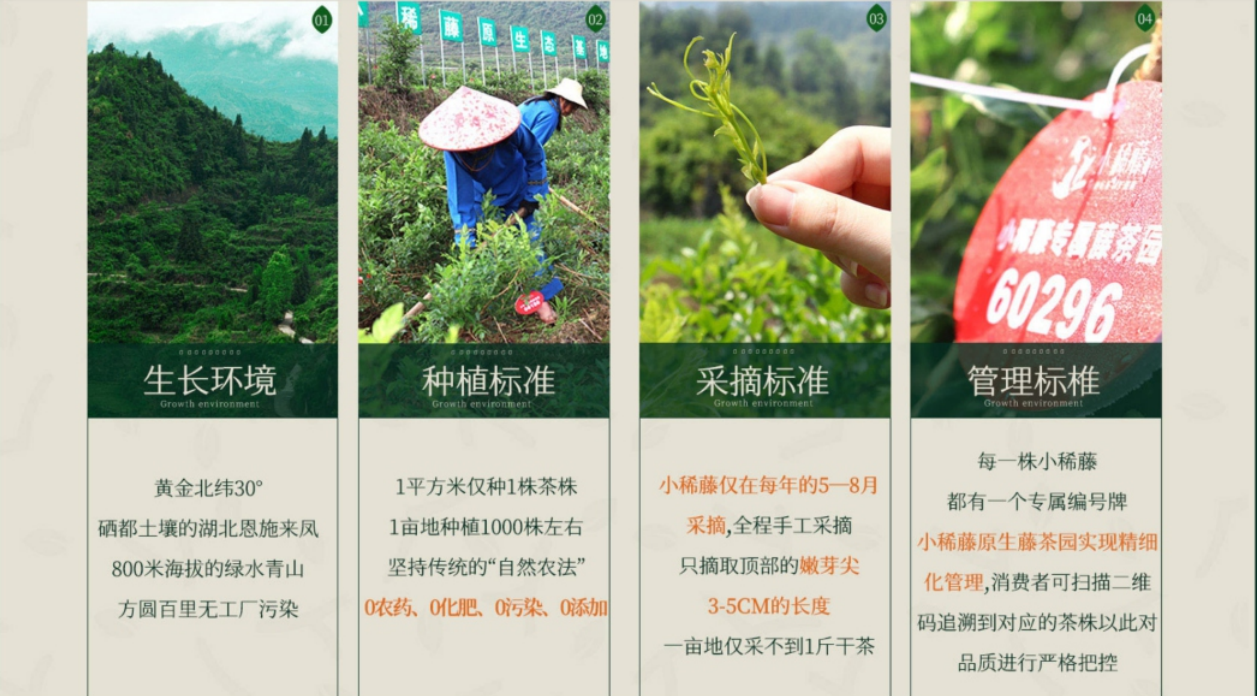 小稀藤来凤富硒藤茶