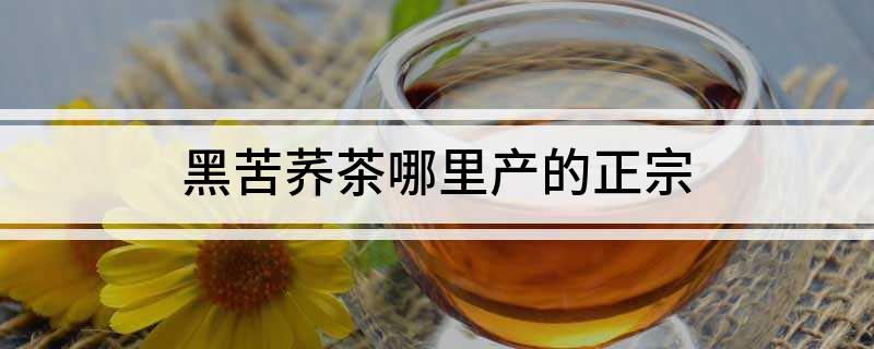 哪里卖富硒黑苦荞茶
