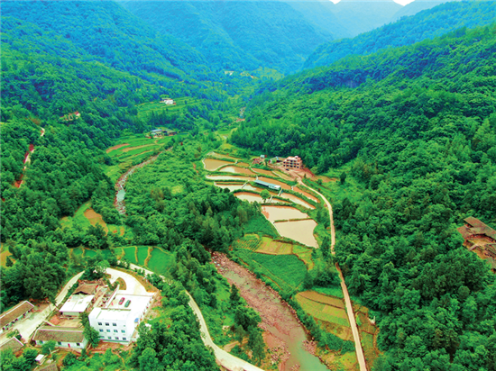 富硒茶顺口溜怎么写