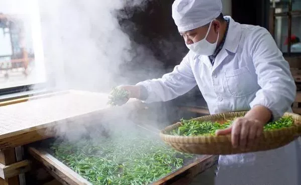 恩施富硒茶有什么用