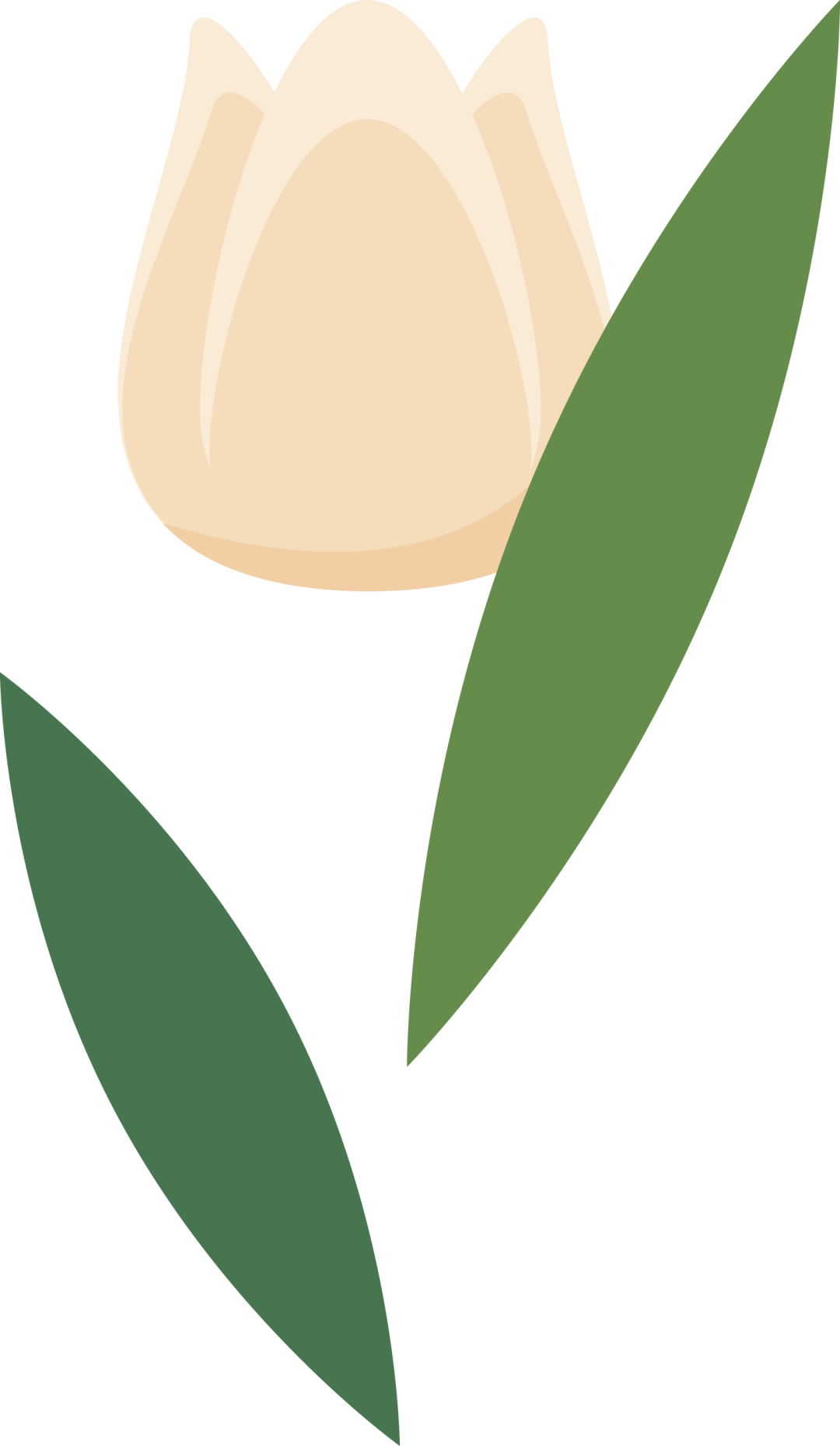 恩施富硒茶有什么用