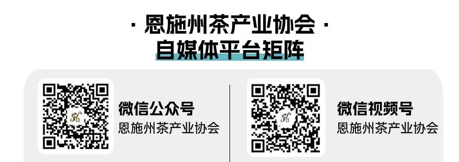 恩施富硒茶有什么用