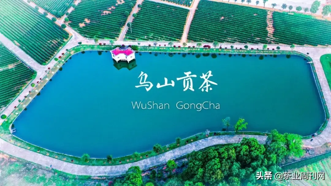 茗品富硒贡茶好喝吗