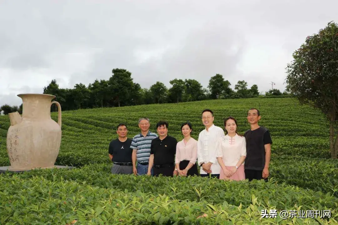 茗品富硒贡茶好喝吗