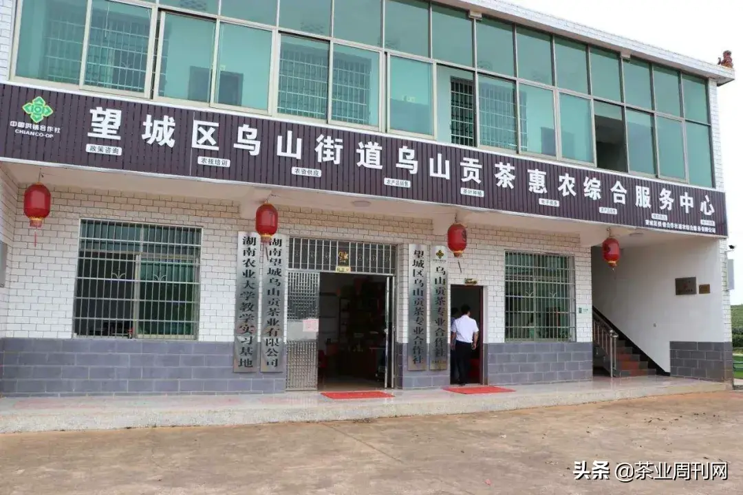 茗品富硒贡茶好喝吗
