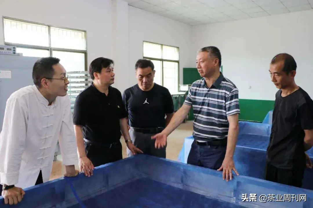 茗品富硒贡茶好喝吗
