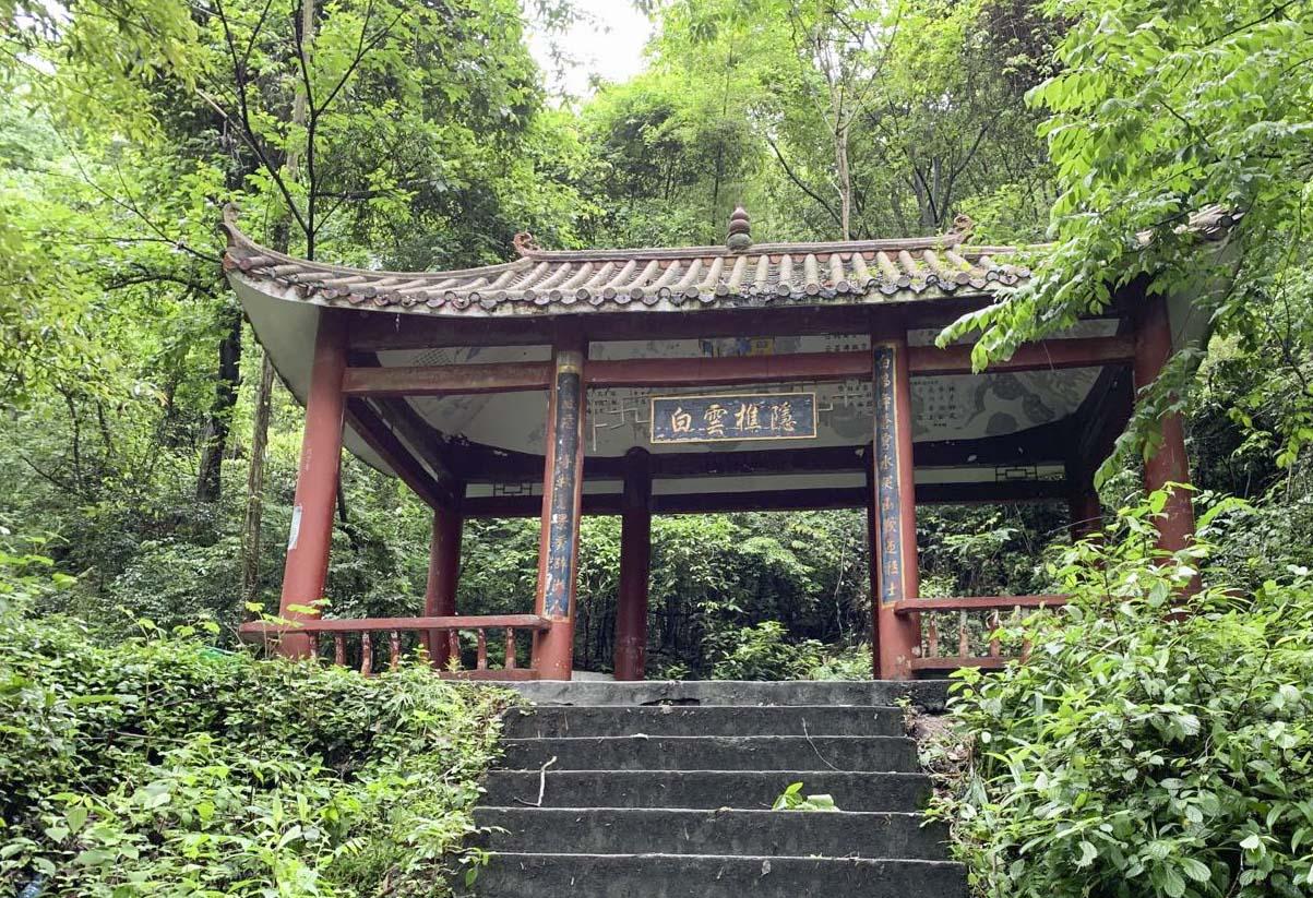 茗品富硒贡茶好喝吗