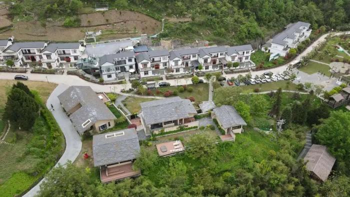 紫阳县富硒茶采摘园