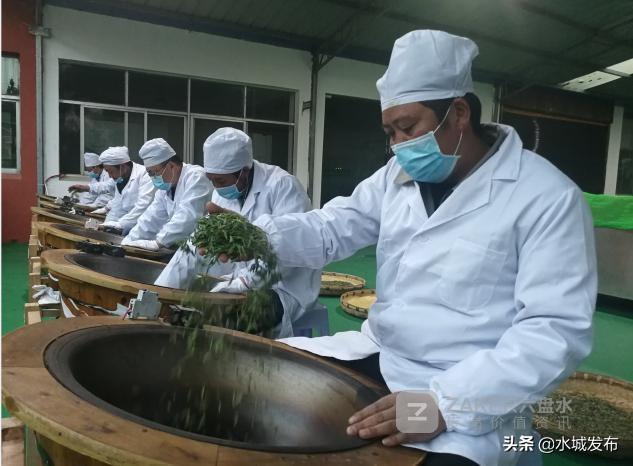 水城富硒茶妙笔生花