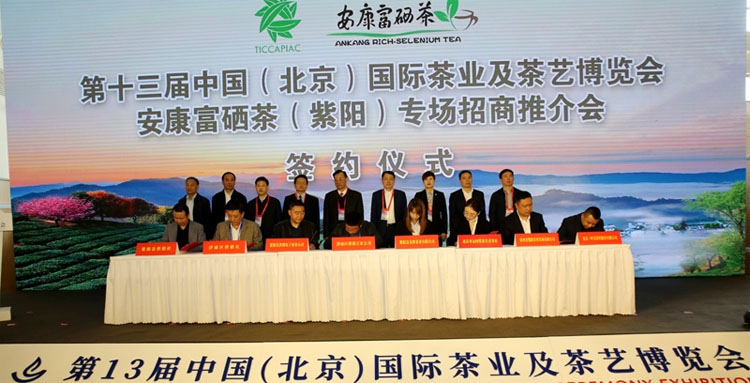紫阳富硒茶精彩绽放十三届北京茶博会