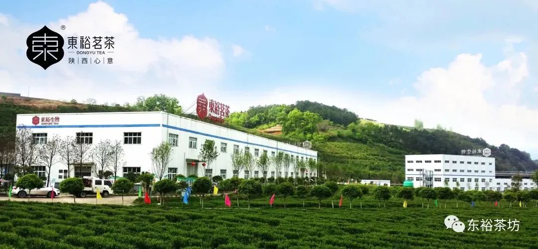 紫阳富硒茶品牌价值