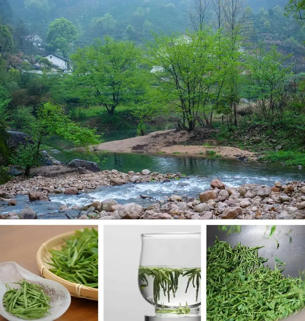 仙寓山富硒茶种植地