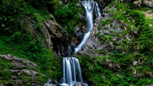 石台县仙寓山富硒茶