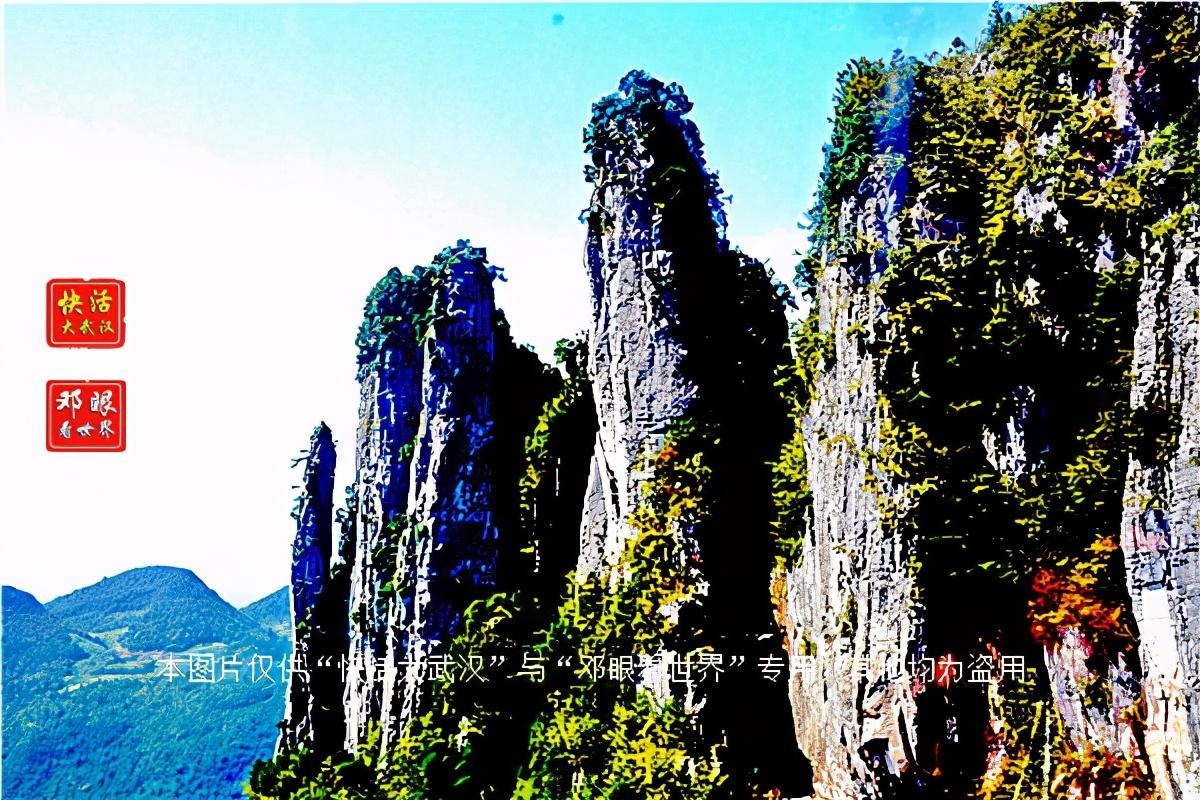 大峡谷富硒茶怎么样