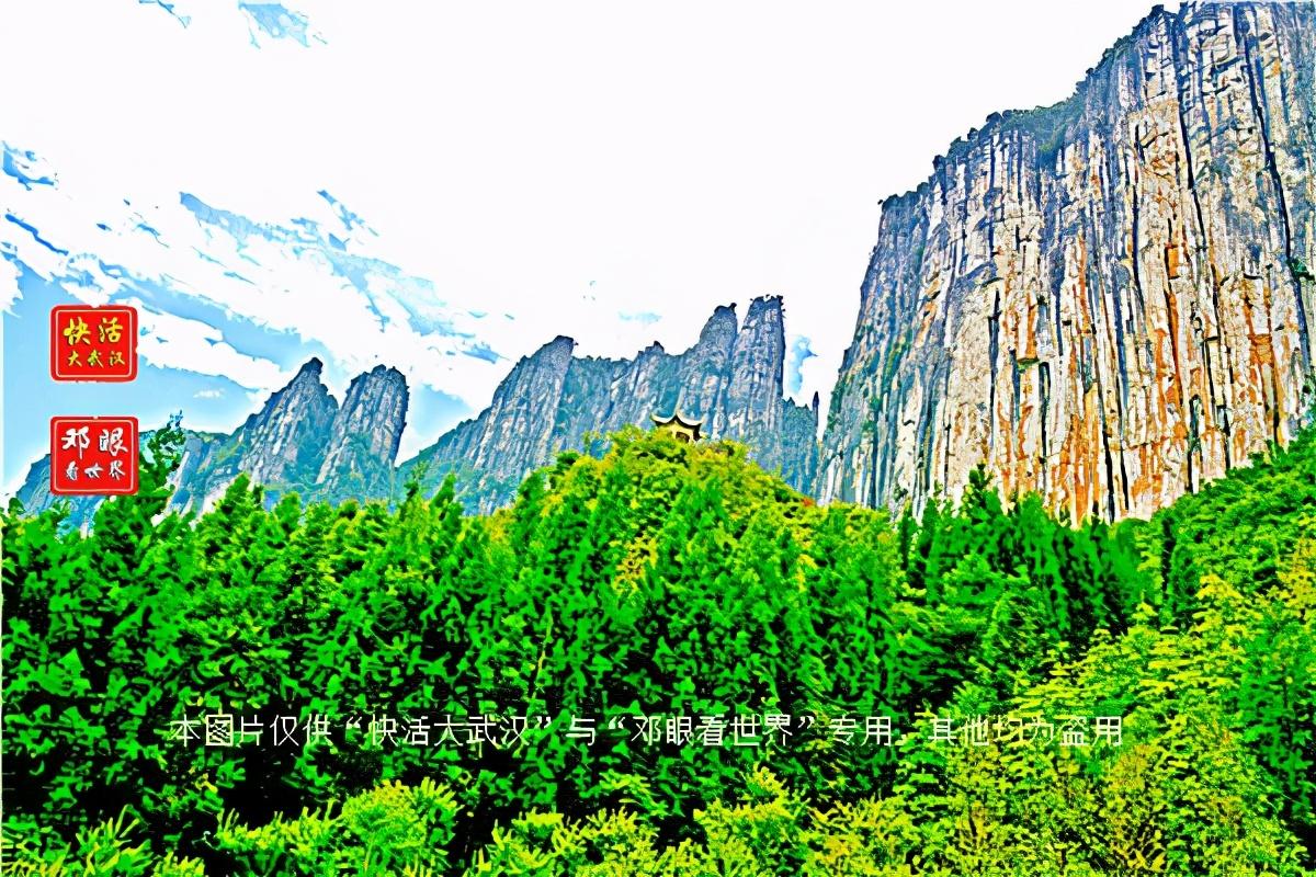 大峡谷富硒茶怎么样