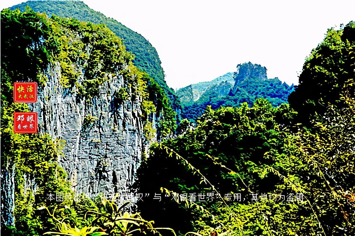 大峡谷富硒茶怎么样