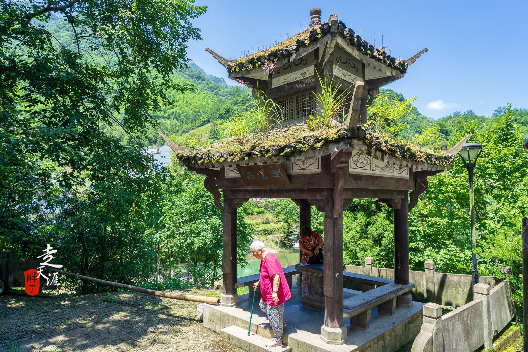 石台县仙寓山富硒茶