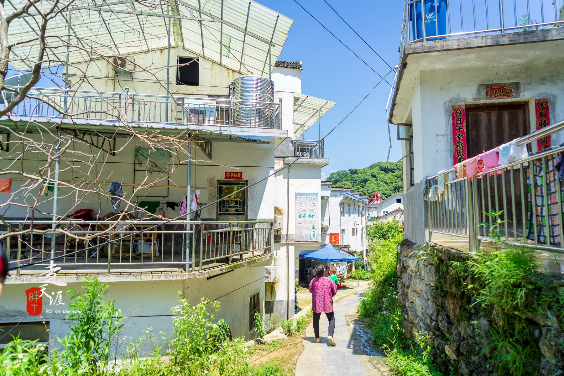 石台县仙寓山富硒茶