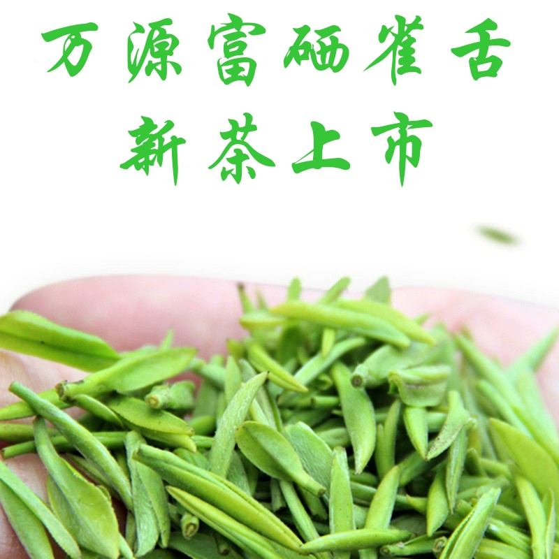 巴山雀舌万源富硒茶