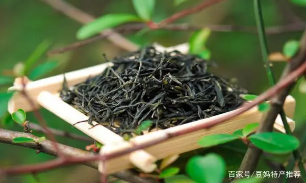 巴山雀舌万源富硒茶