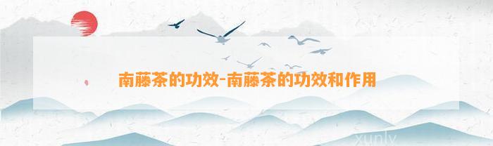 南藤茶的功效-南藤茶的功效和作用
