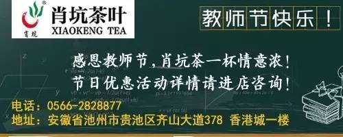 霄坑村富硒茶多少钱