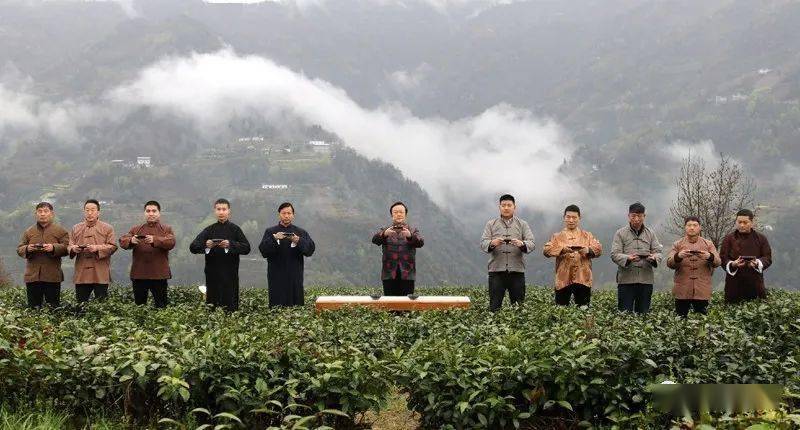 紫阳县向阳镇富硒茶