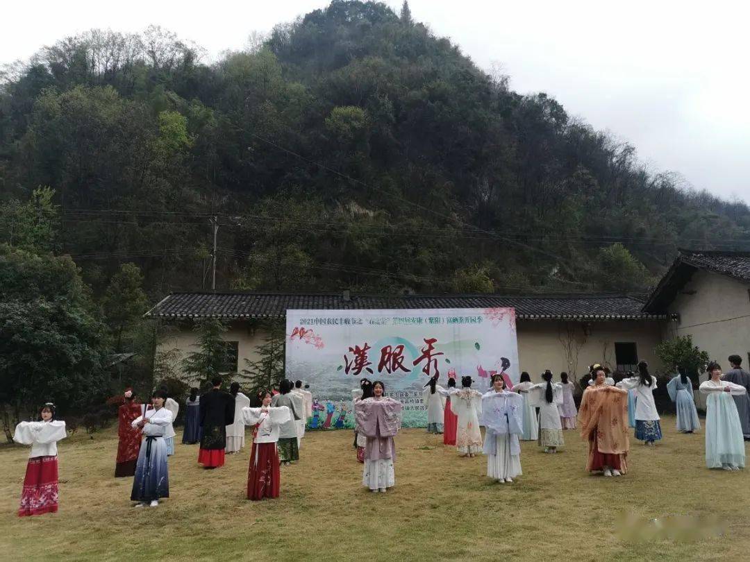 紫阳县向阳镇富硒茶